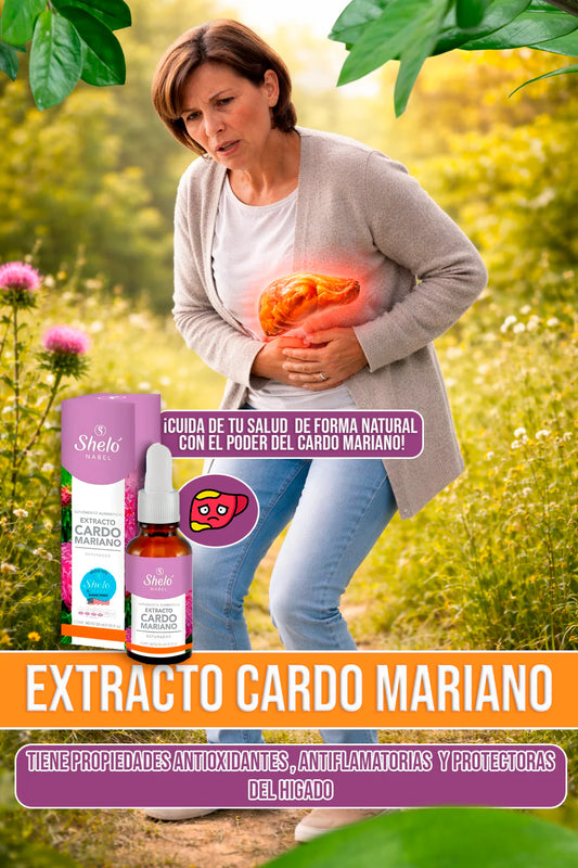 EXTRACTO CARDO MARIANO⭐⭐⭐⭐⭐ DESINTOXICA TU HIGADO